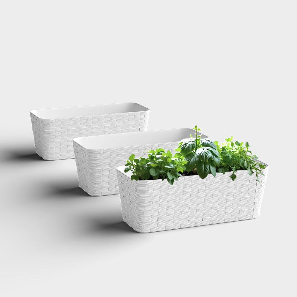 SHERA | RATTAN TRAY