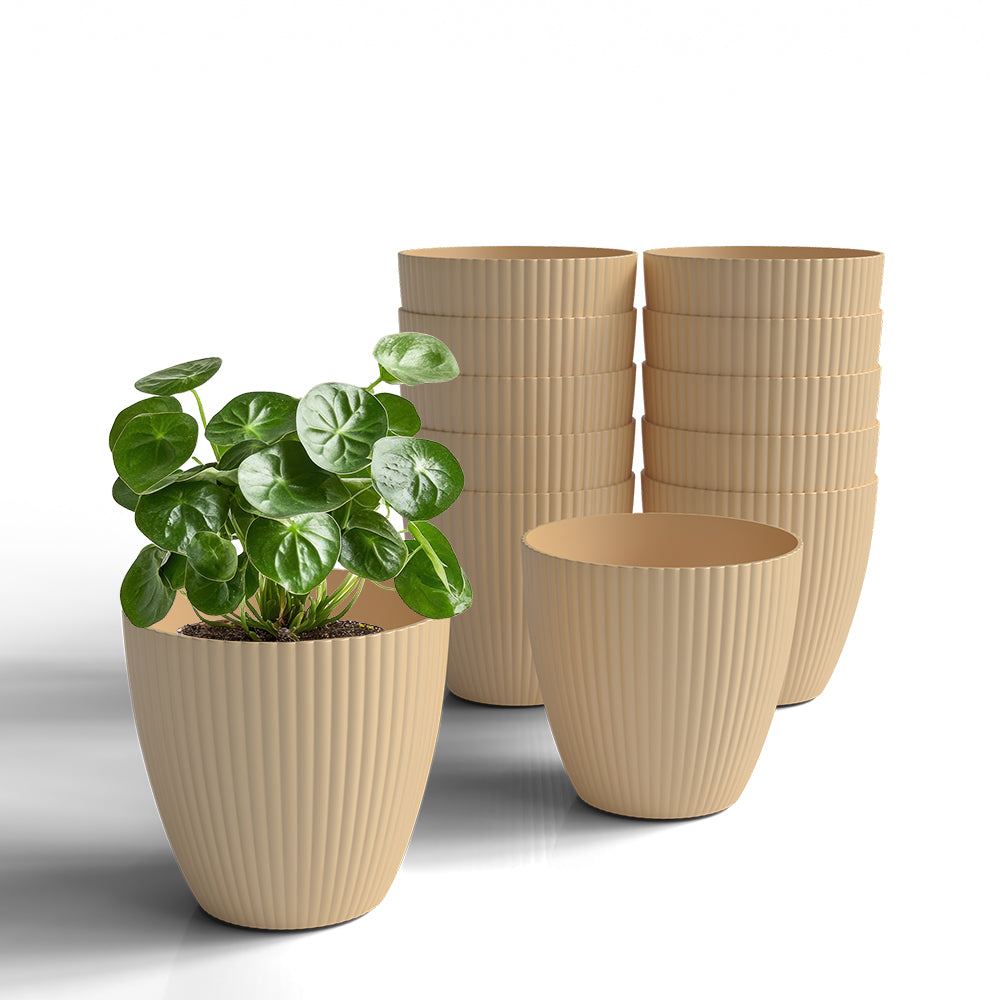 SHERA | LOTUS PLANTER