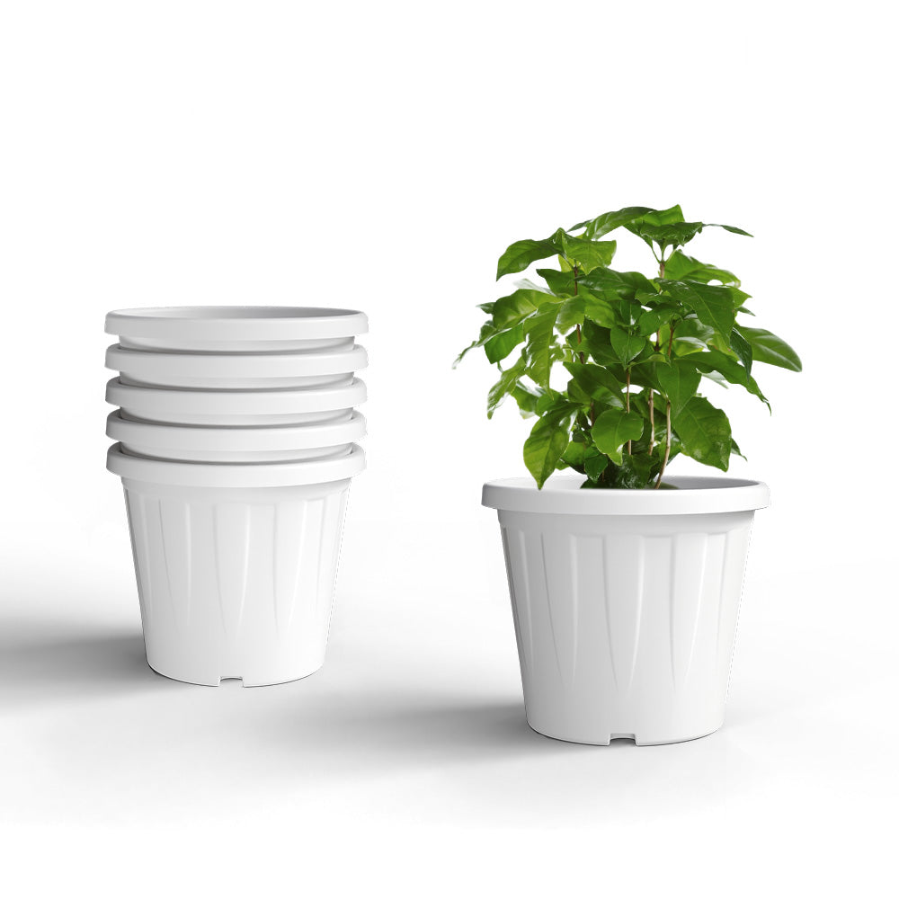SHERA | CROWN PLANTER