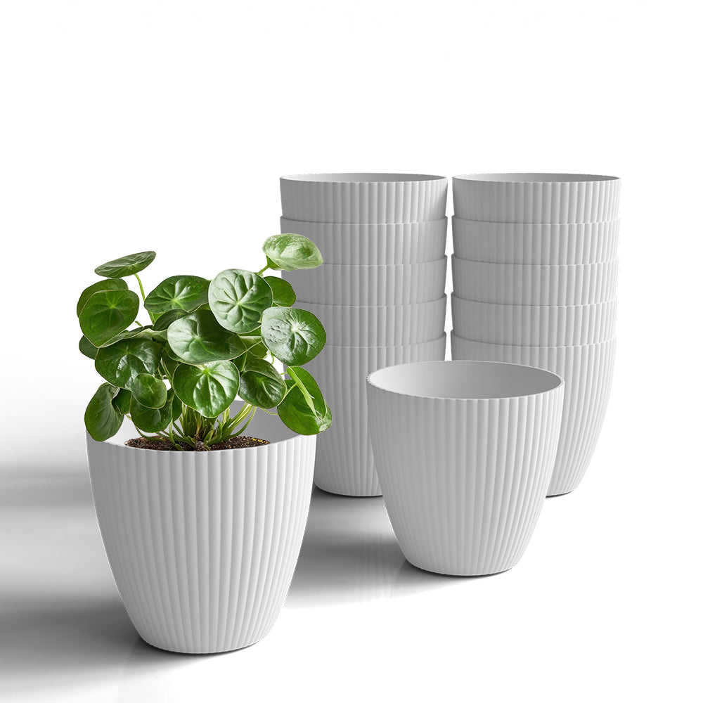 SHERA | LOTUS PLANTER