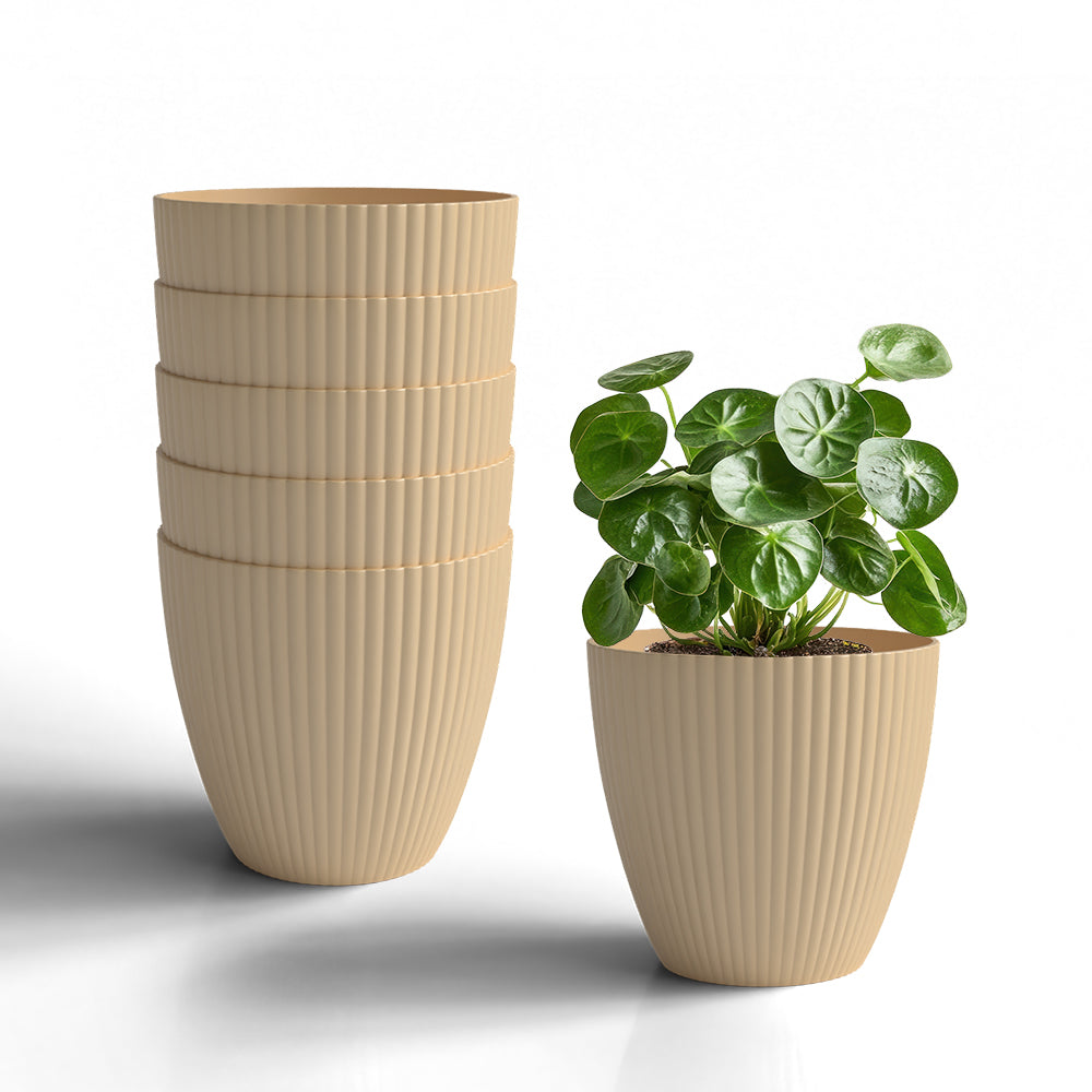 SHERA | LOTUS PLANTER