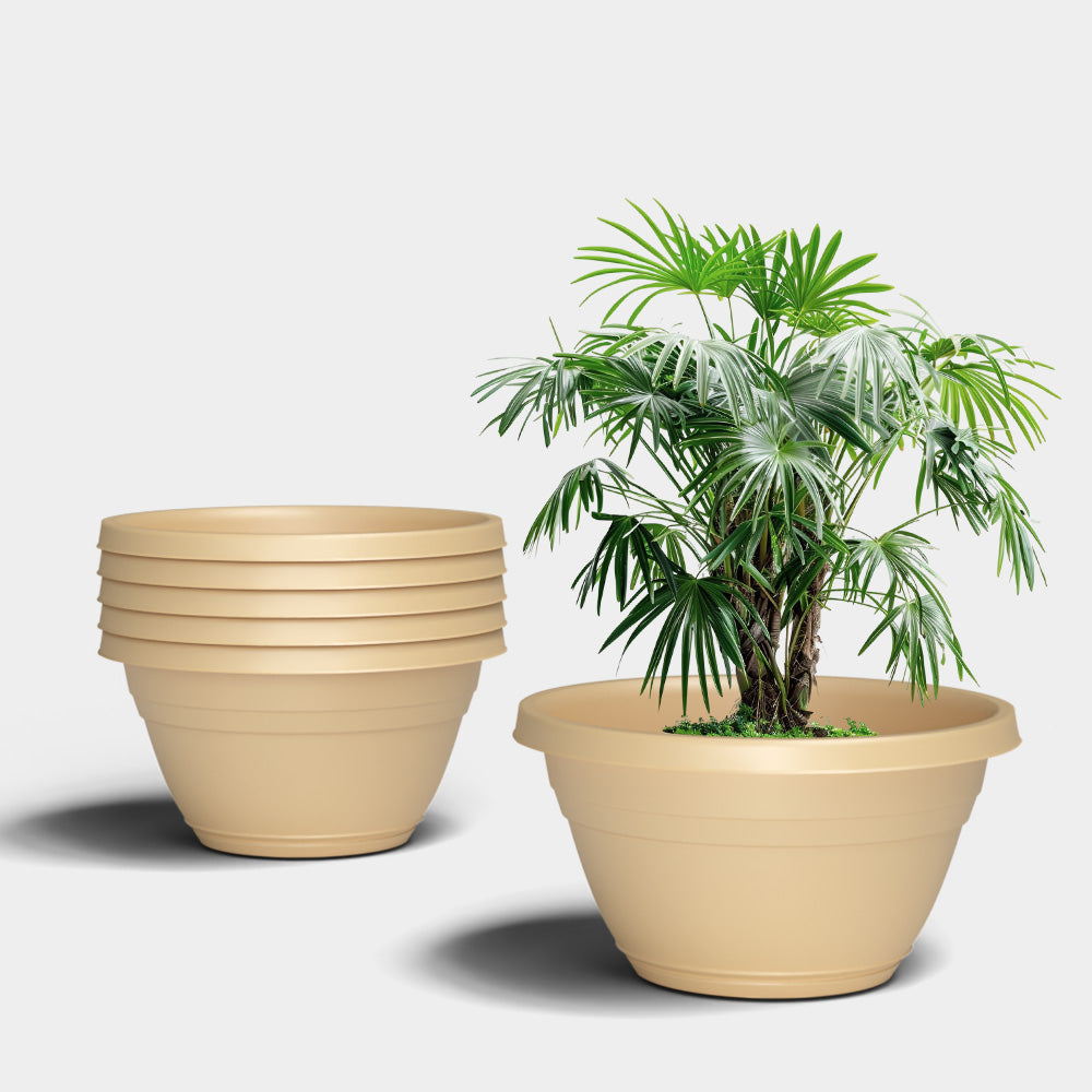 SHERA | BOTANICA BONSAI KTR PLANTER