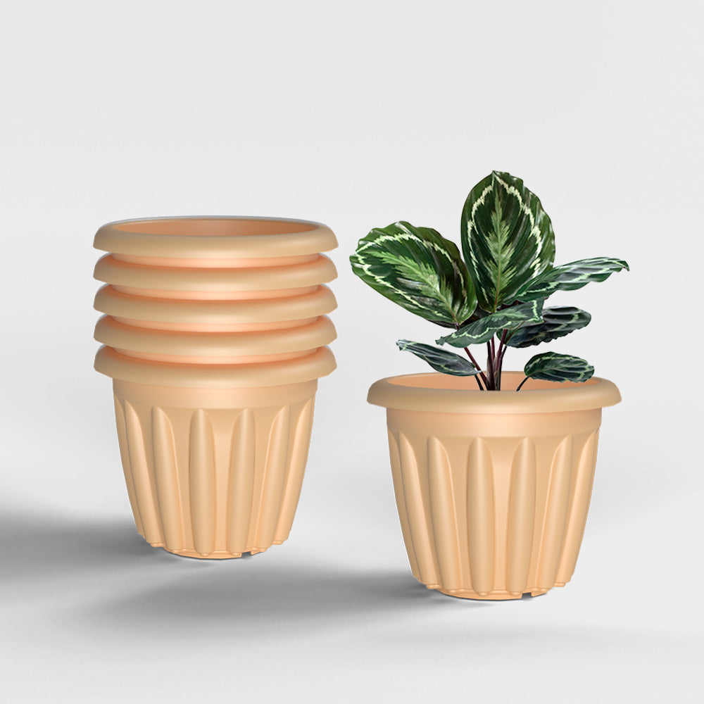 SHERA | FLOOT PLANTER