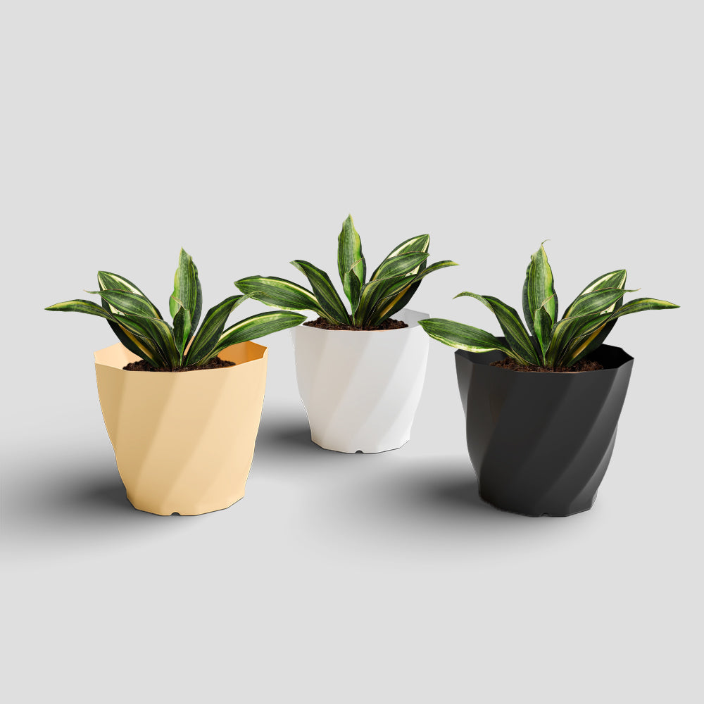 SHERA | SWIRL PLANTER