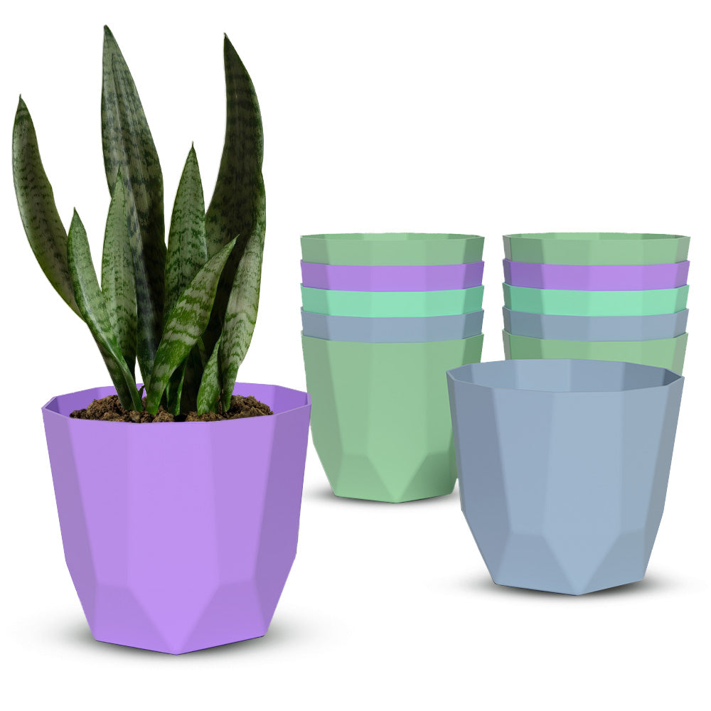 SHERA | HEXA PLANTER
