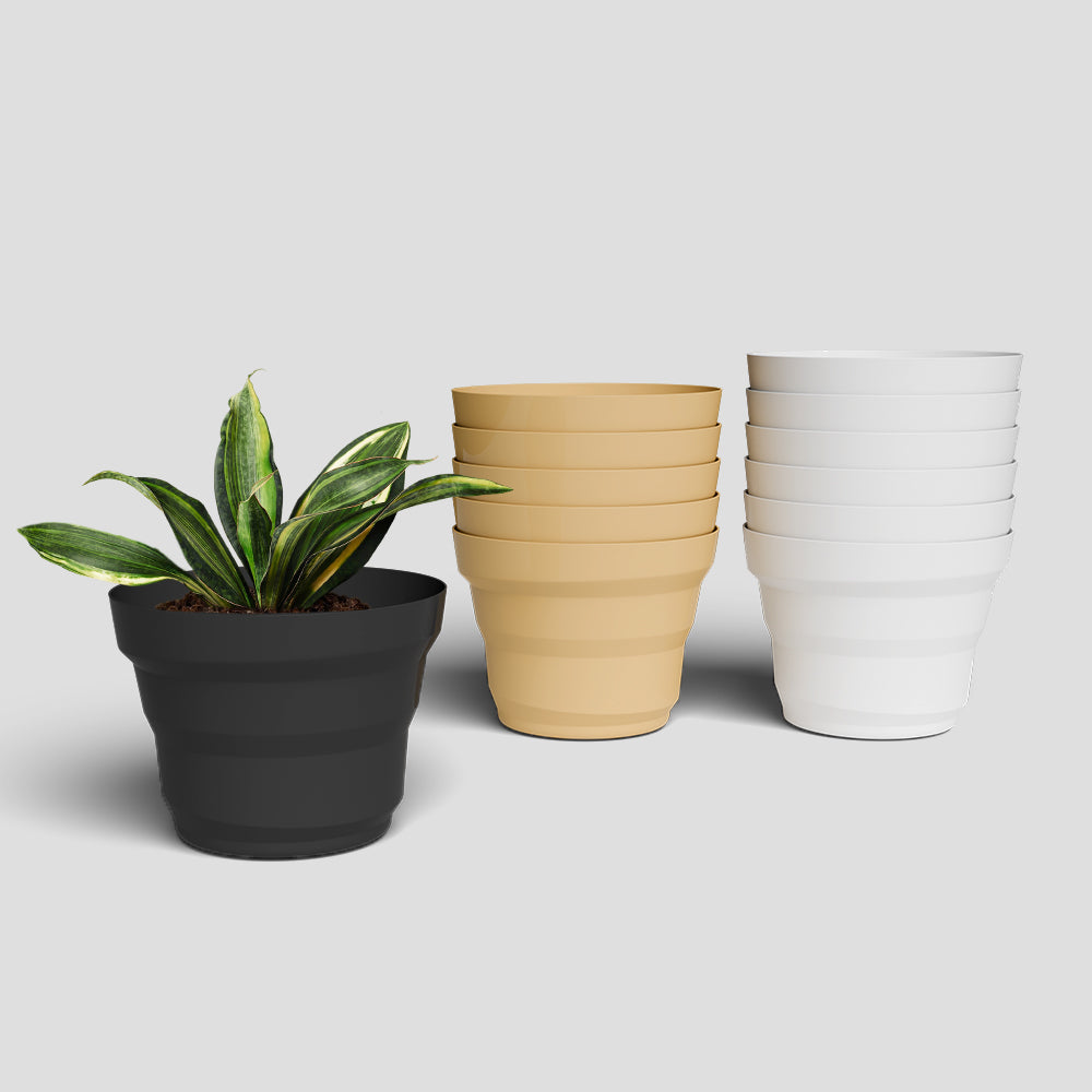 SHERA | RING PLANTER