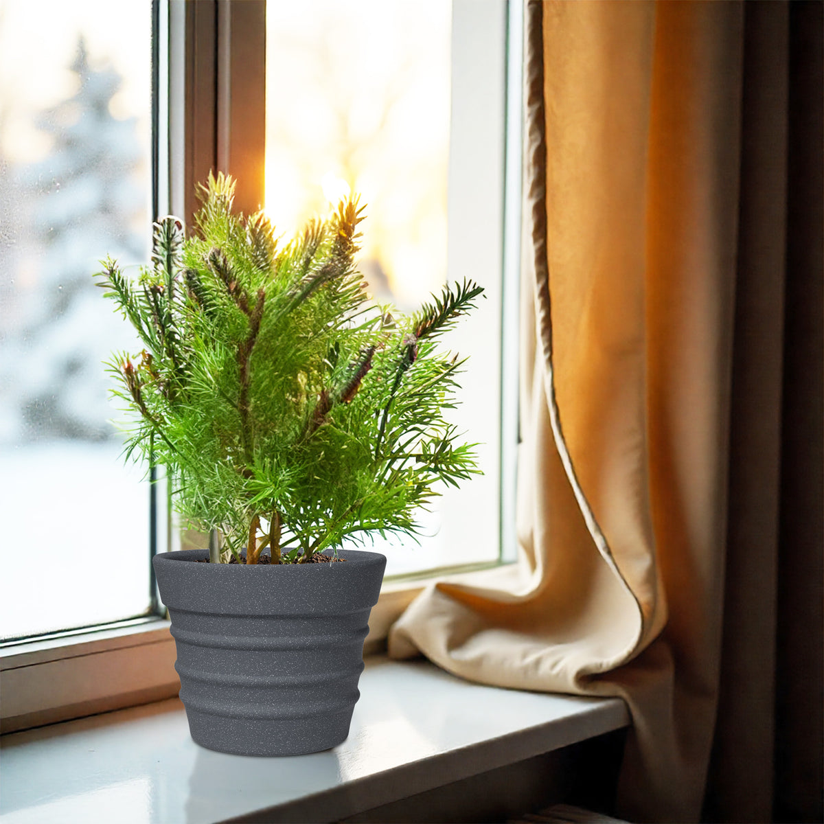 FOX B | BR PLANTER