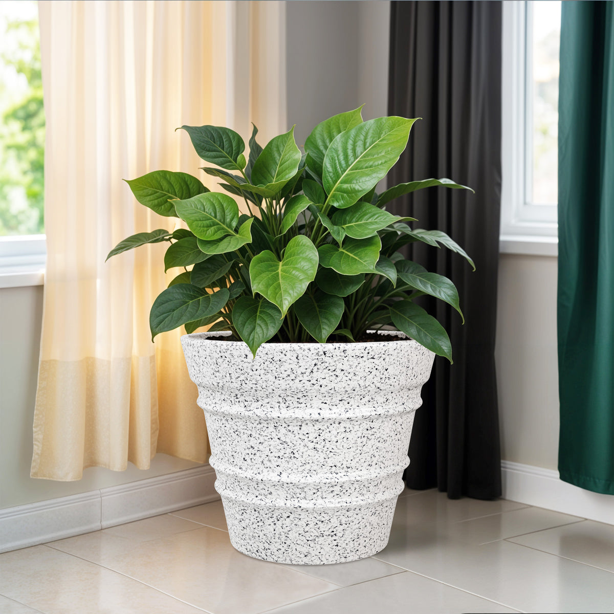 FOX B | BR PLANTER