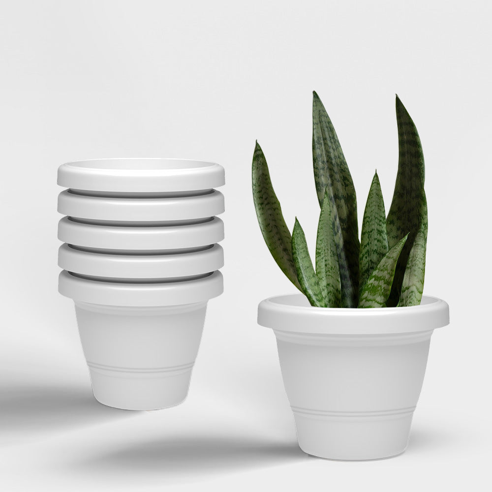 SHERA | SD PLANTER