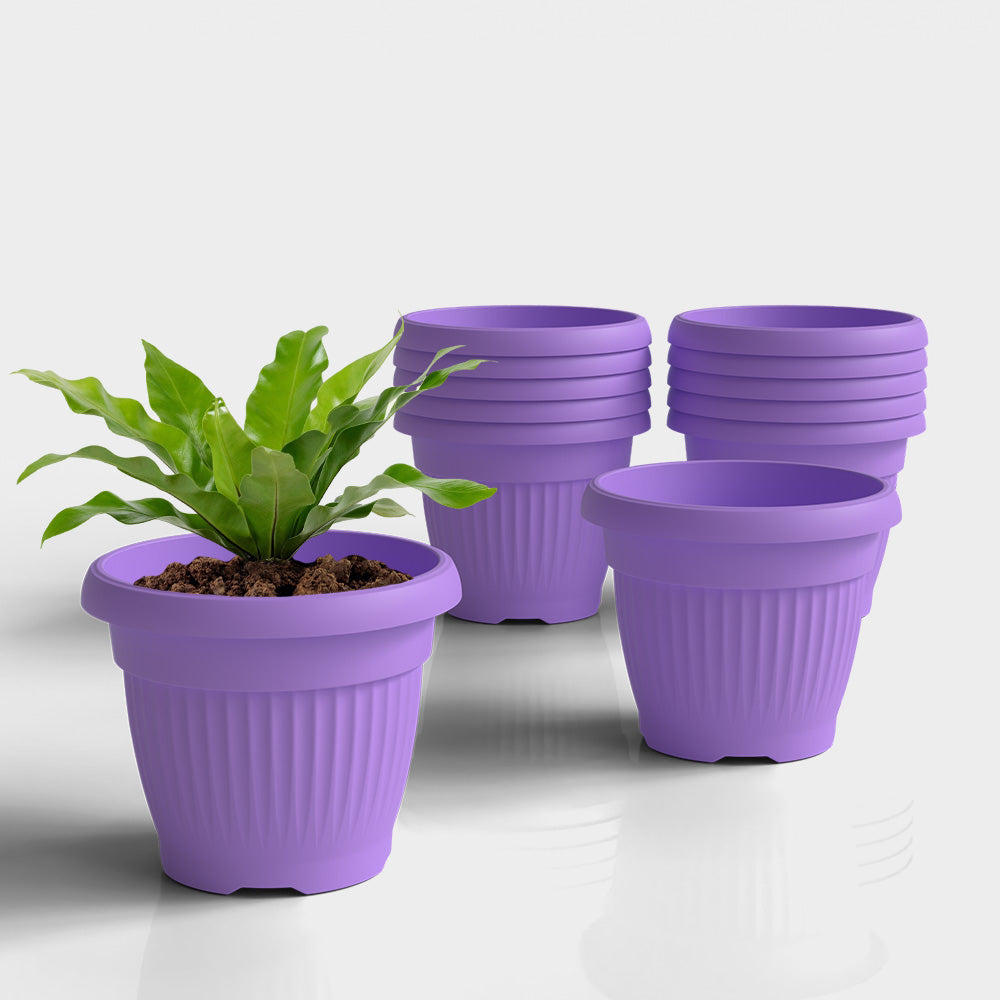 SHERA | BLOOM PLANTER