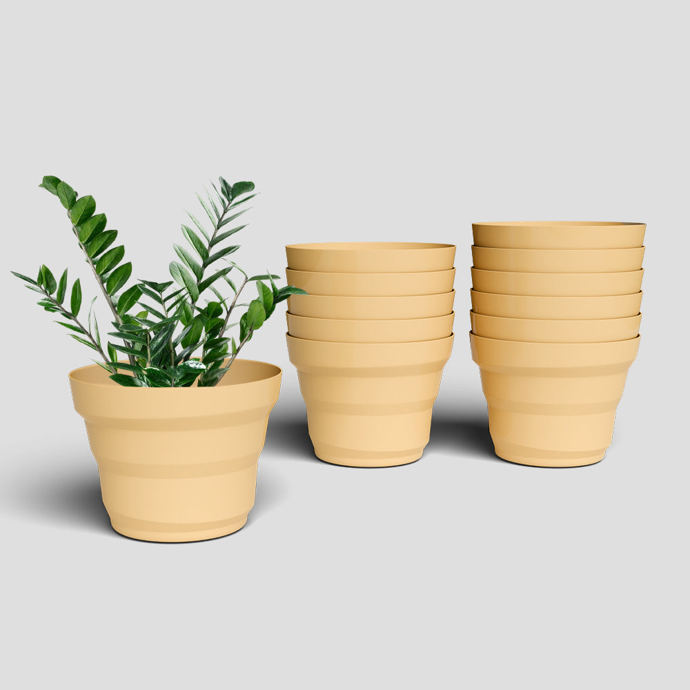 SHERA | RING PLANTER