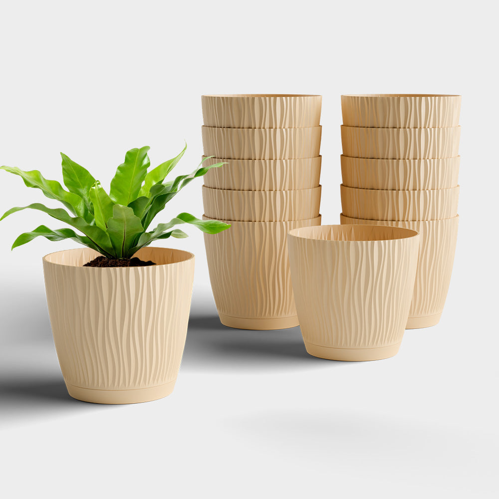SHERA | EVA PLANTER