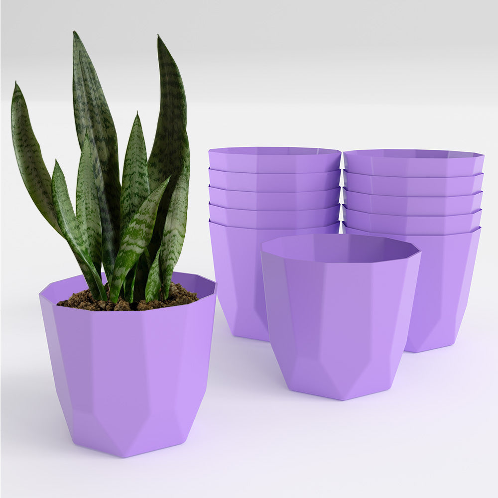 SHERA | HEXA PLANTER