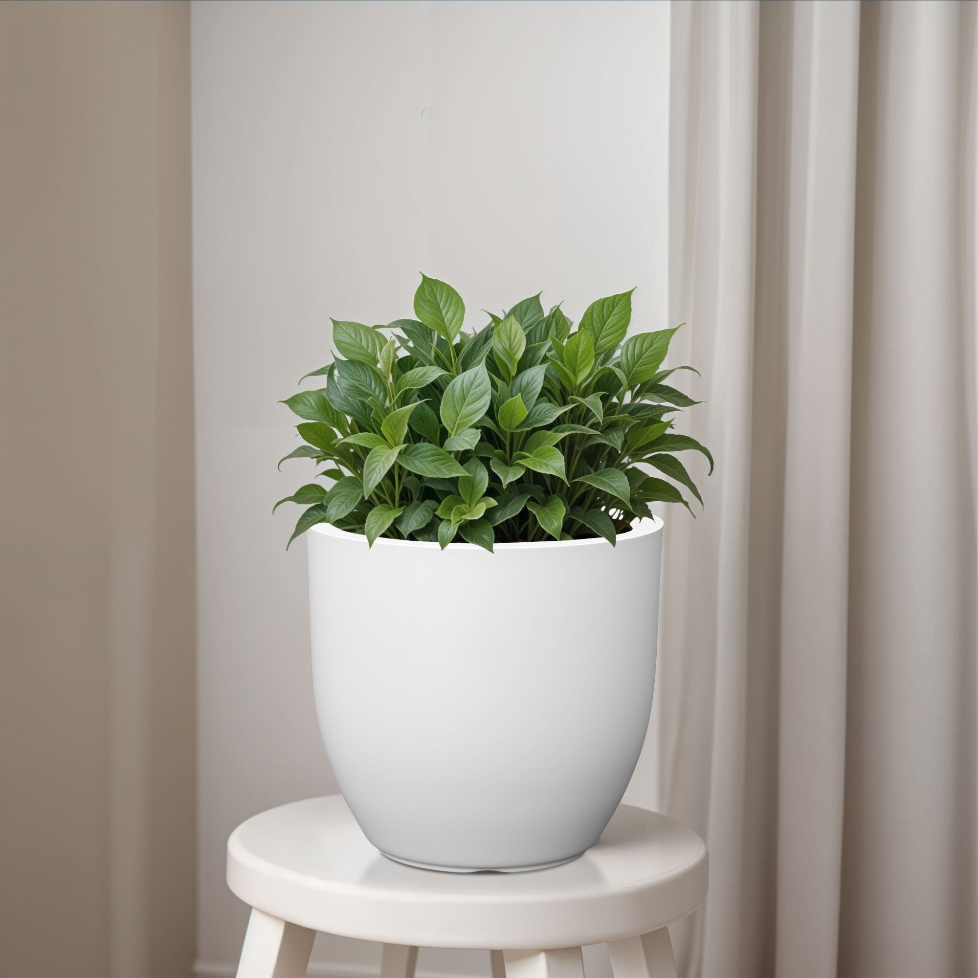 FOX B | P CUP PLANTER