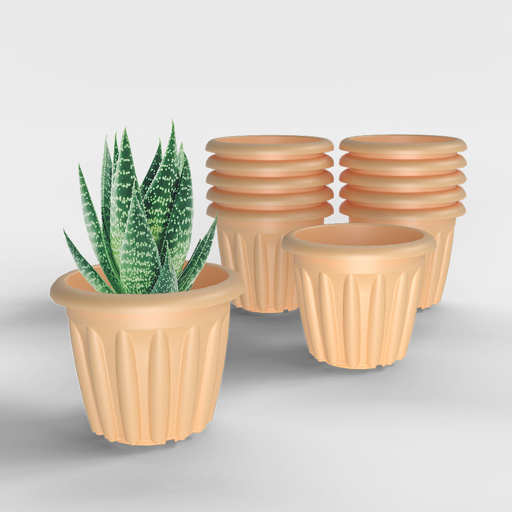 SHERA | FLOOT PLANTER