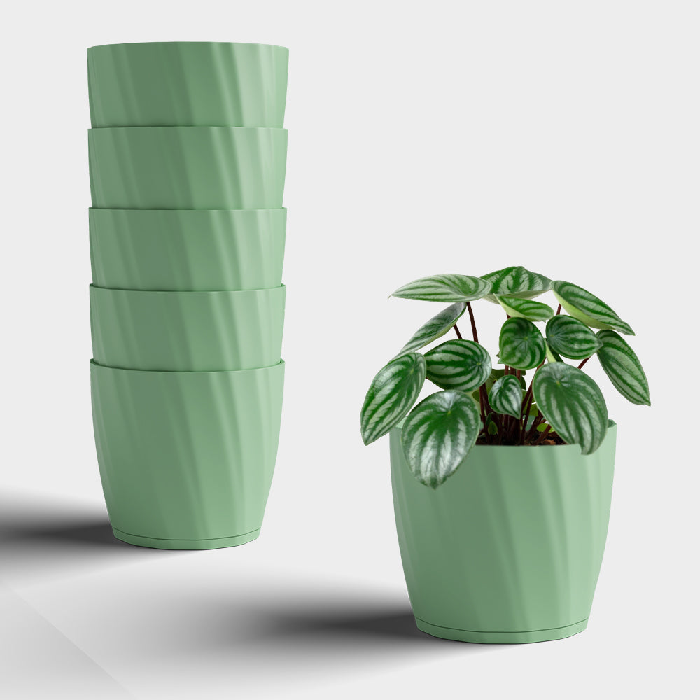 SHERA | ZINNIA PLANTER
