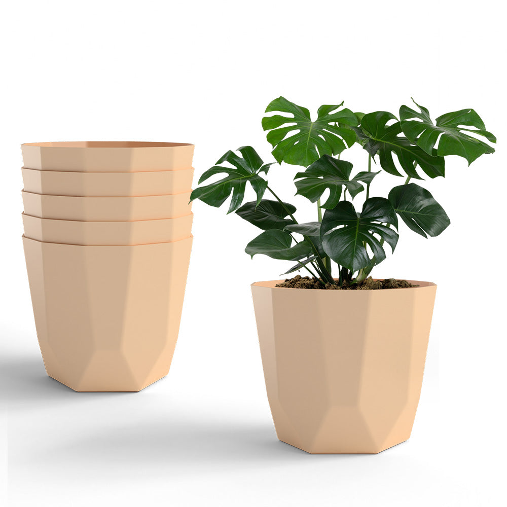 SHERA | HEXA PLANTER