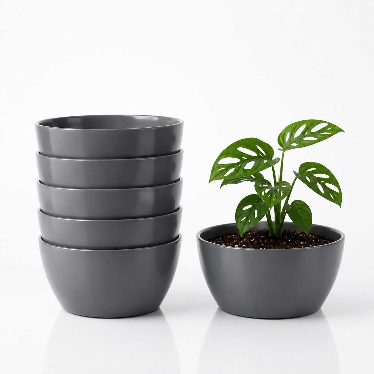 SHERA | STELLA K PLANTER