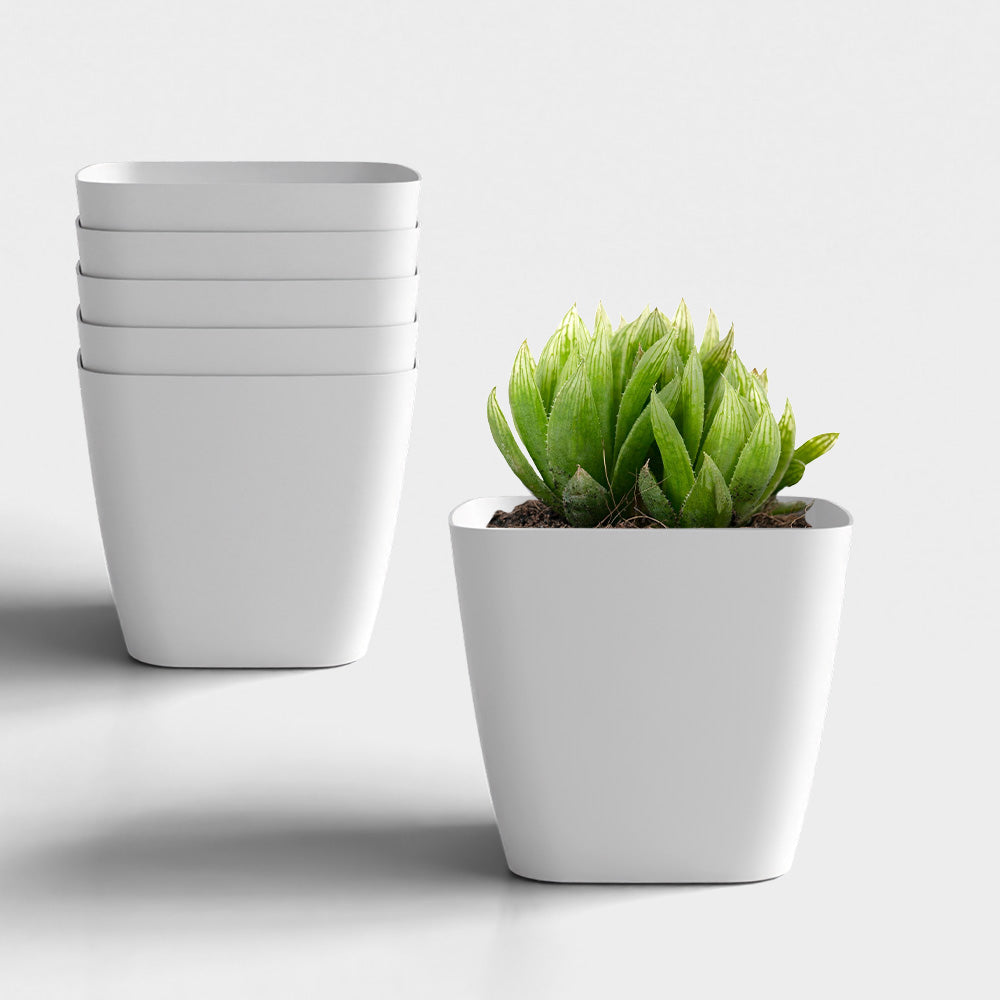 SHERA | STOIC PLANTER