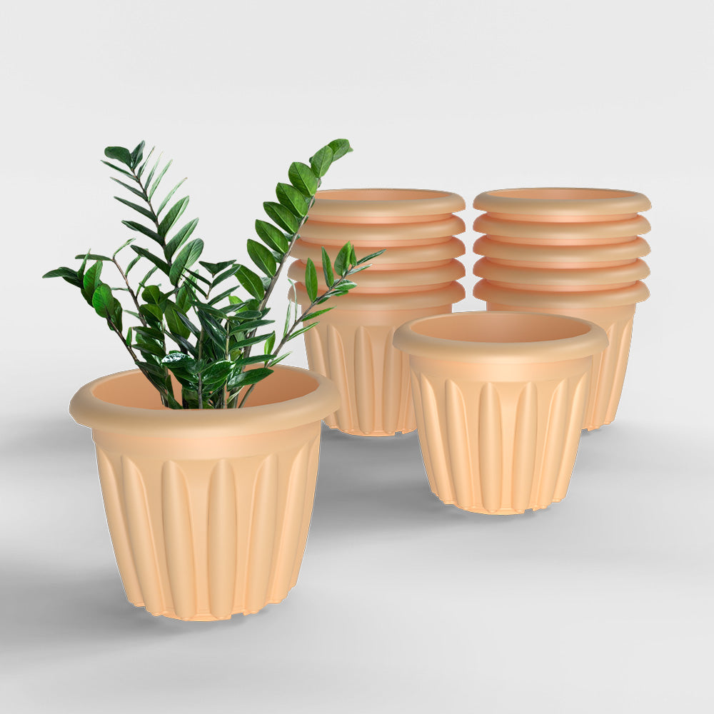 SHERA | FLOOT PLANTER