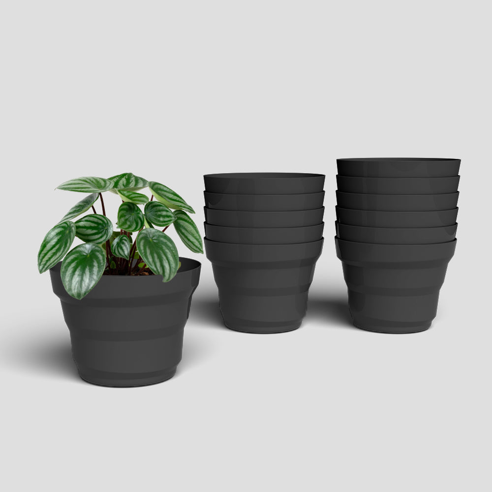 SHERA | RING PLANTER