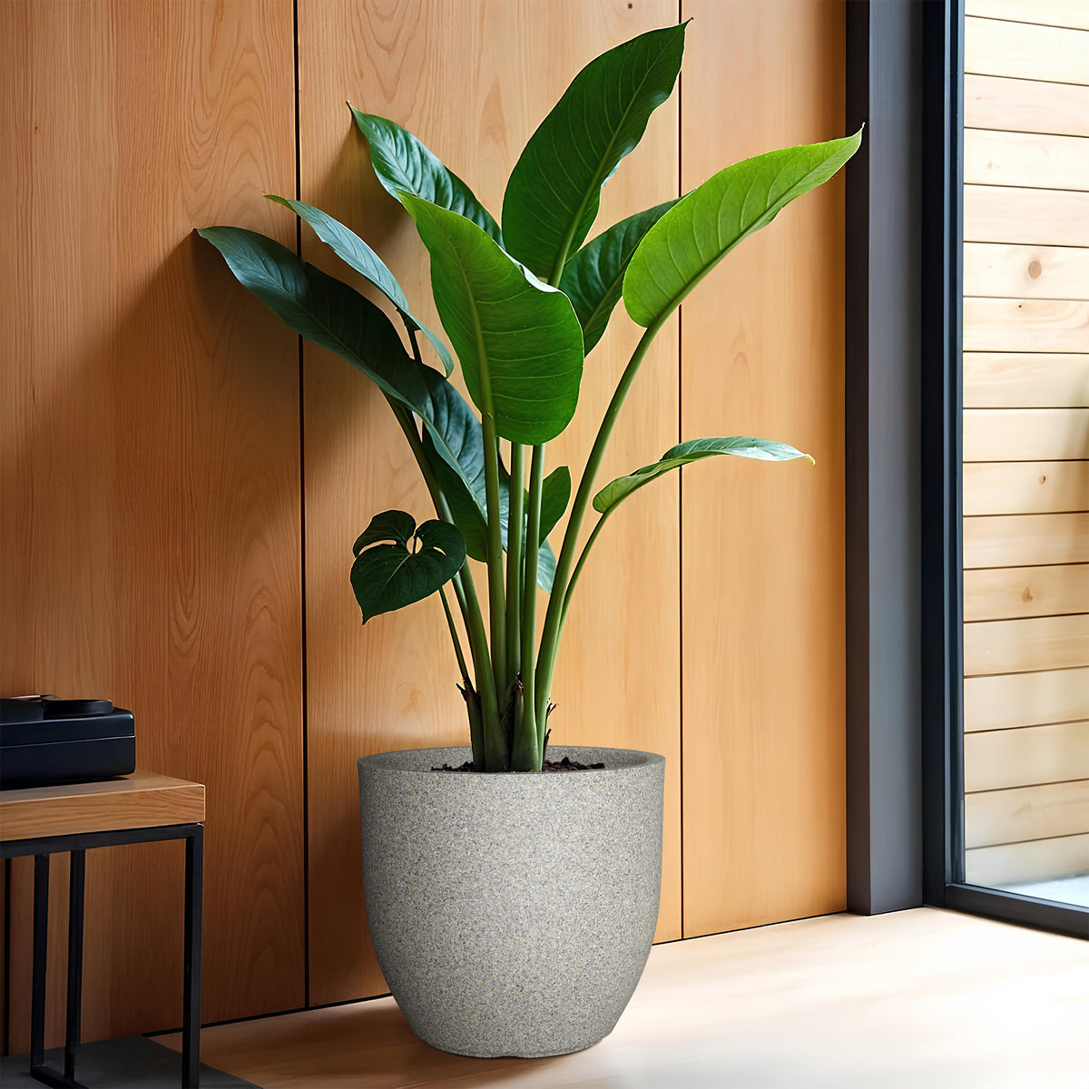 FOX B | P CUP PLANTER 6 INCH TO 15 INCH