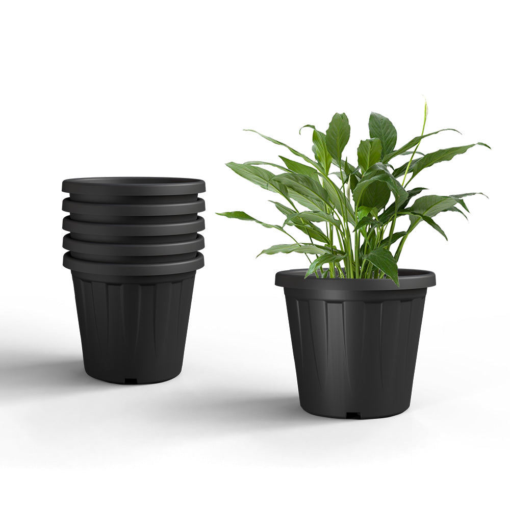 SHERA | CROWN PLANTER