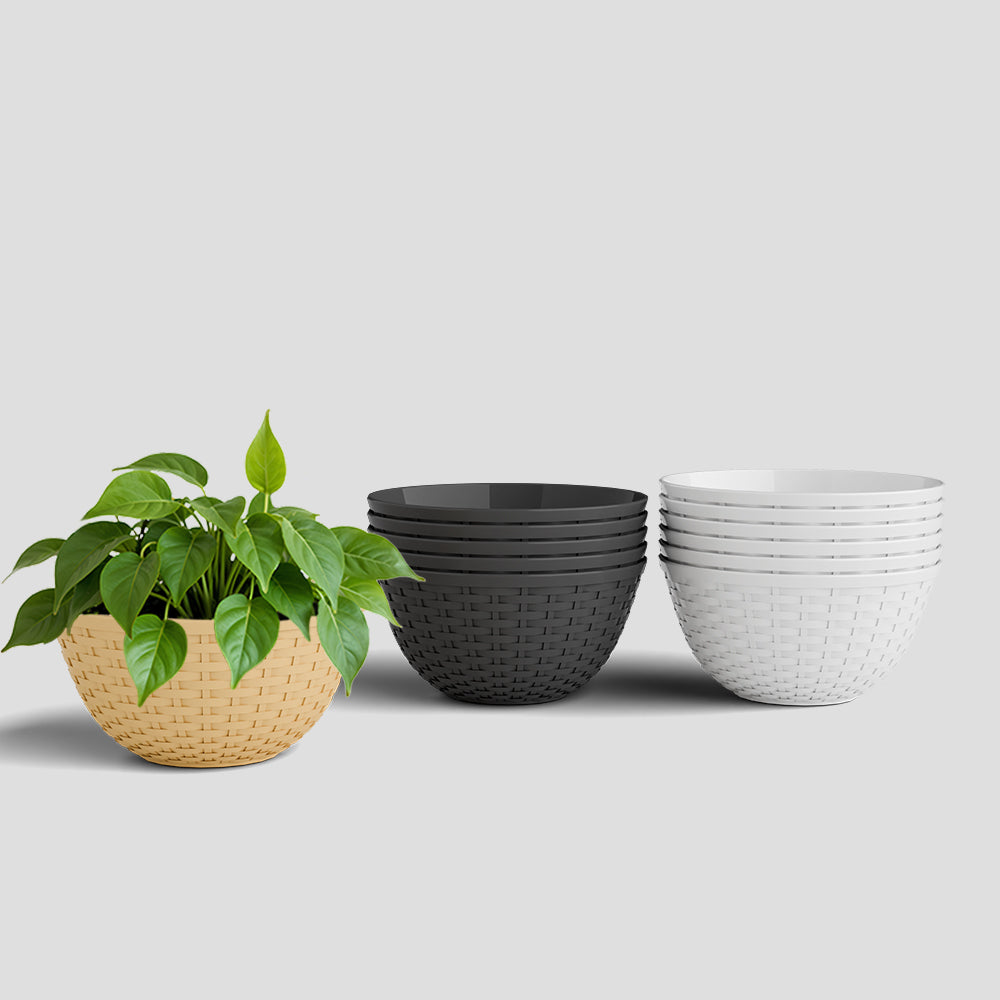 SHERA | CHICK KTR PLANTER