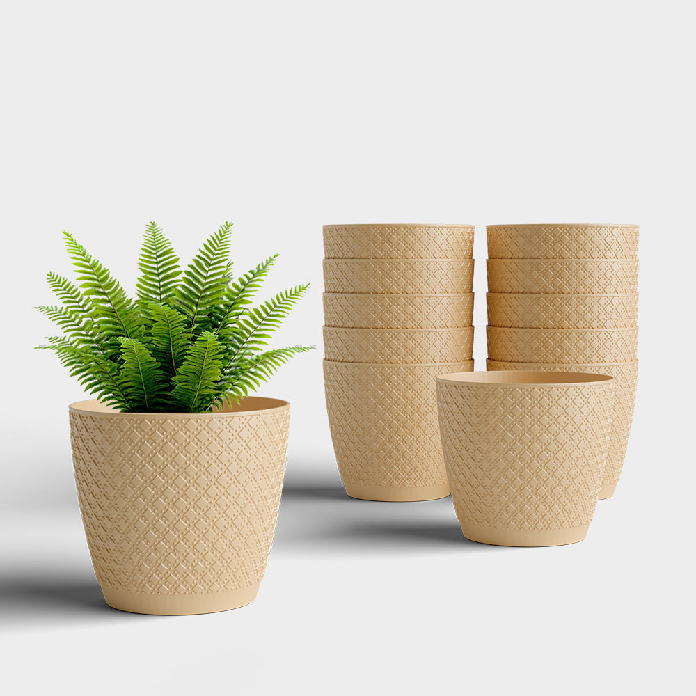 SHERA | CRUZ PLANTER