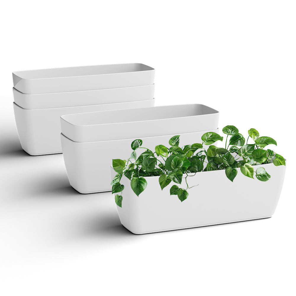 SHERA | CABI TRAY PLANTER