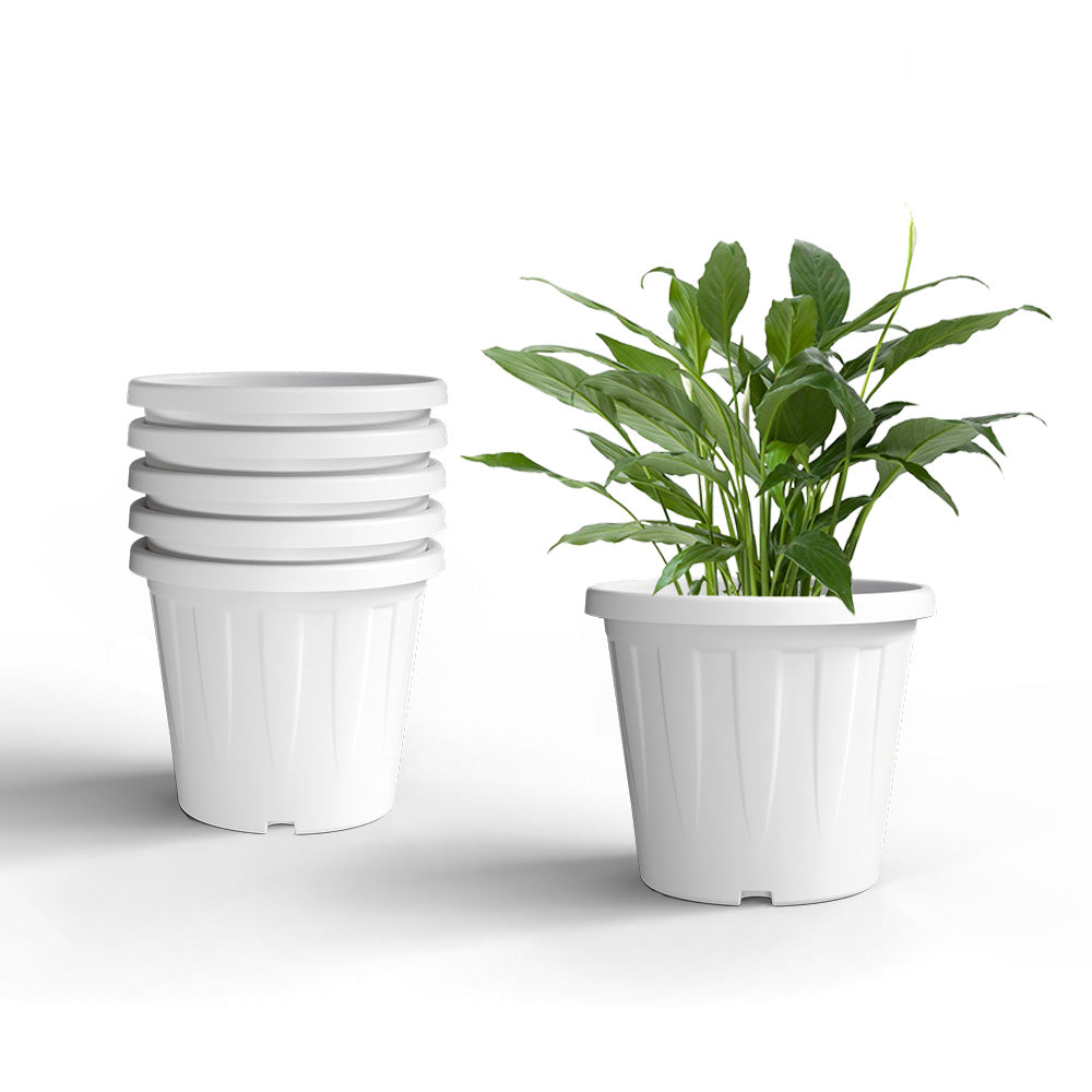 SHERA | CROWN PLANTER