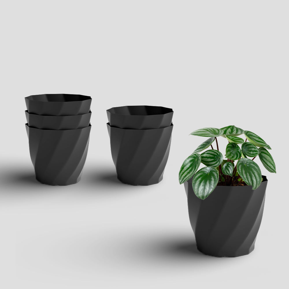 SHERA | SWIRL PLANTER