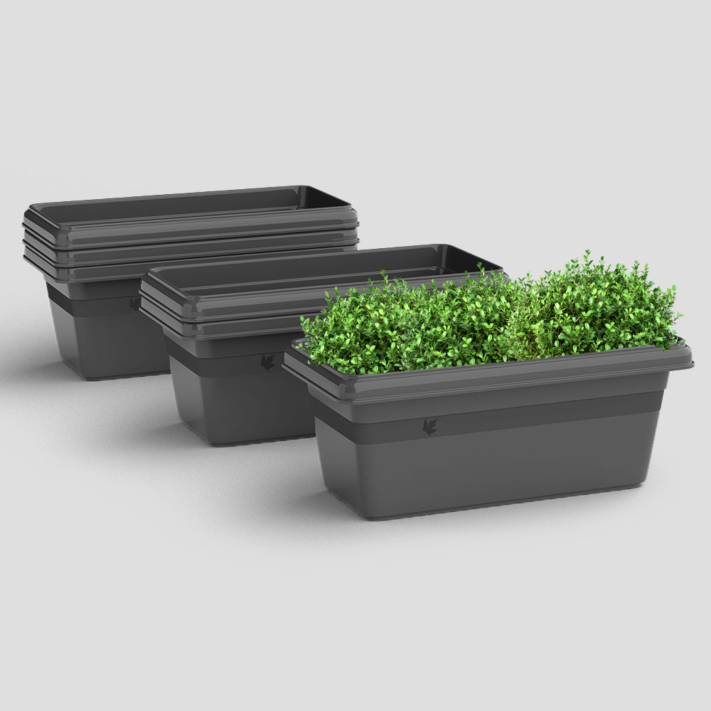 SHERA | TP PLANTER