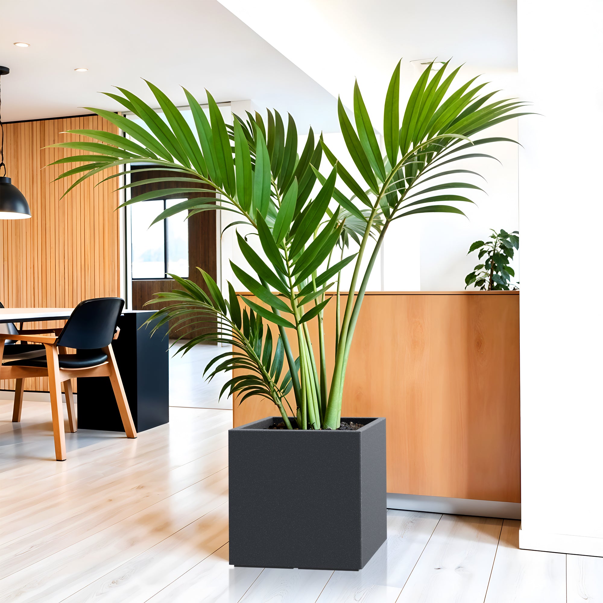 FOX B | CUBO PLANTER