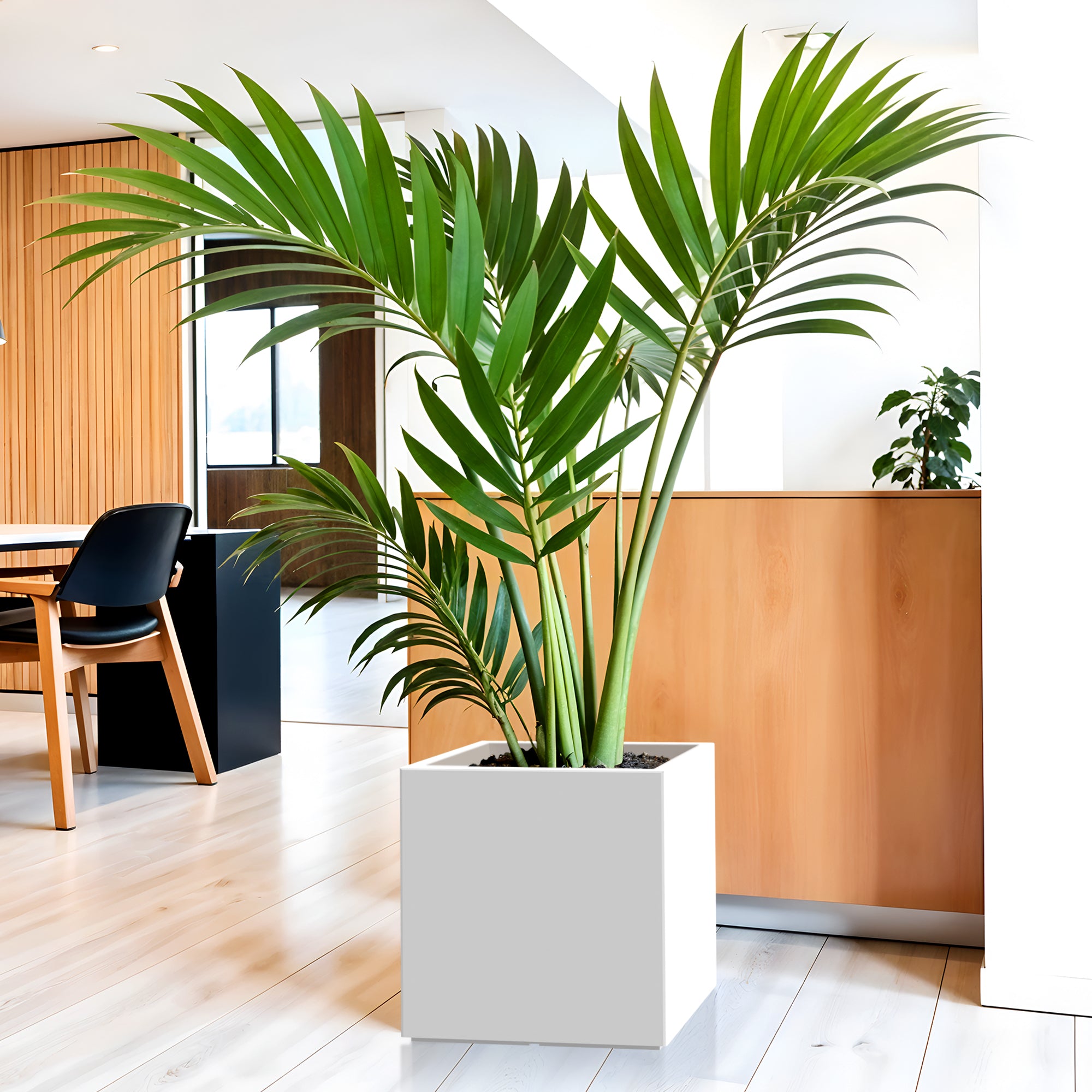 FOX B | CUBO PLANTER