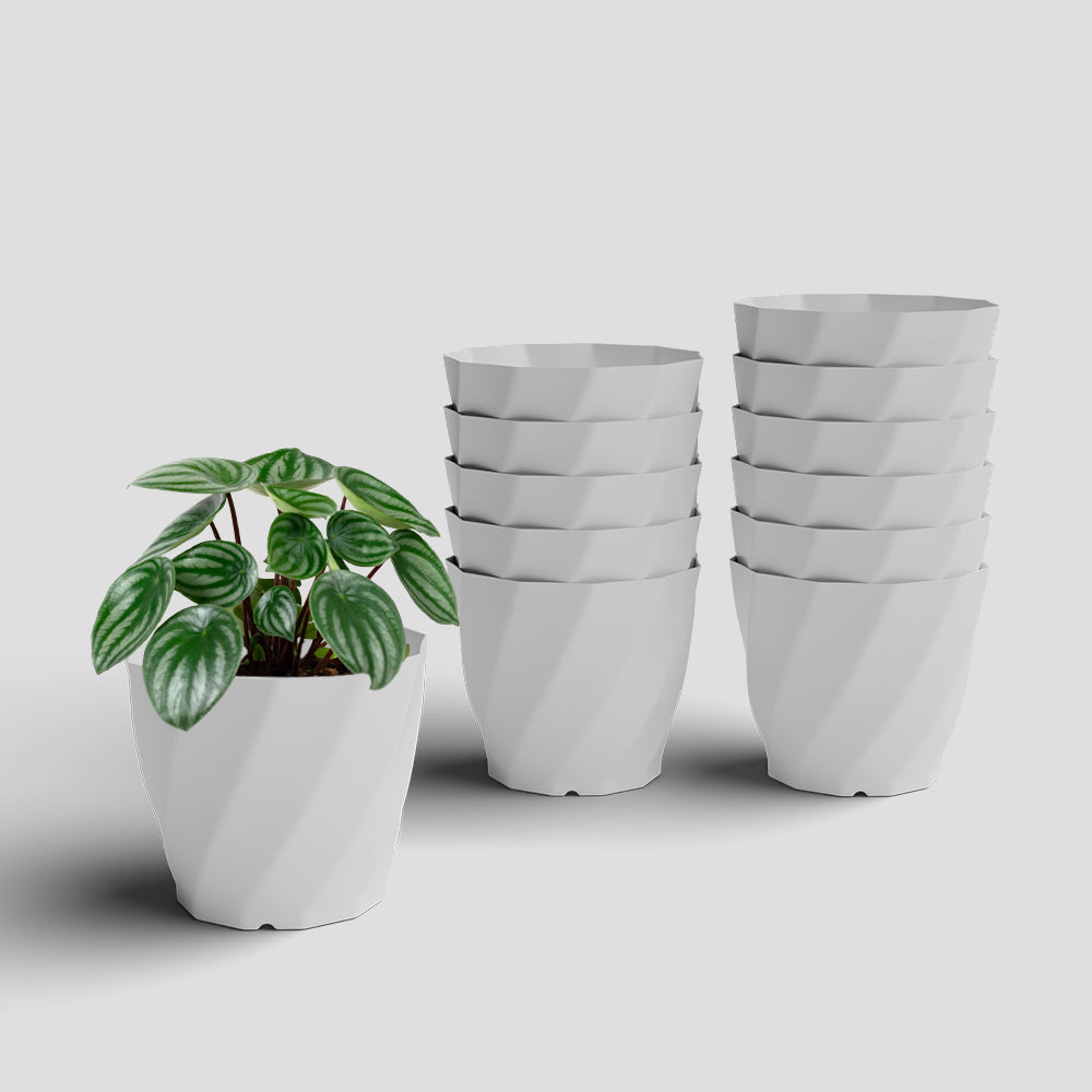 SHERA | SWIRL PLANTER