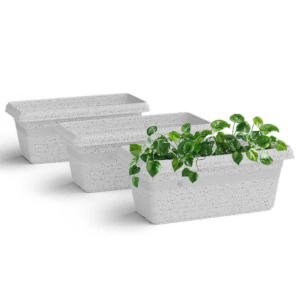 SHERA | TP PLANTER