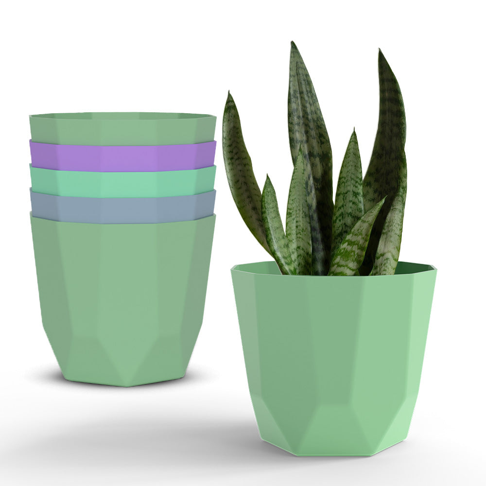 SHERA | HEXA PLANTER