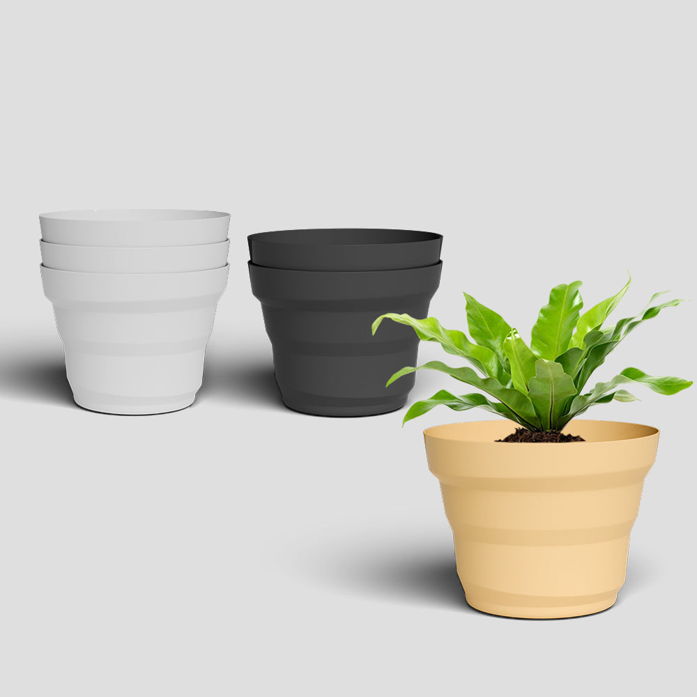 SHERA | RING PLANTER