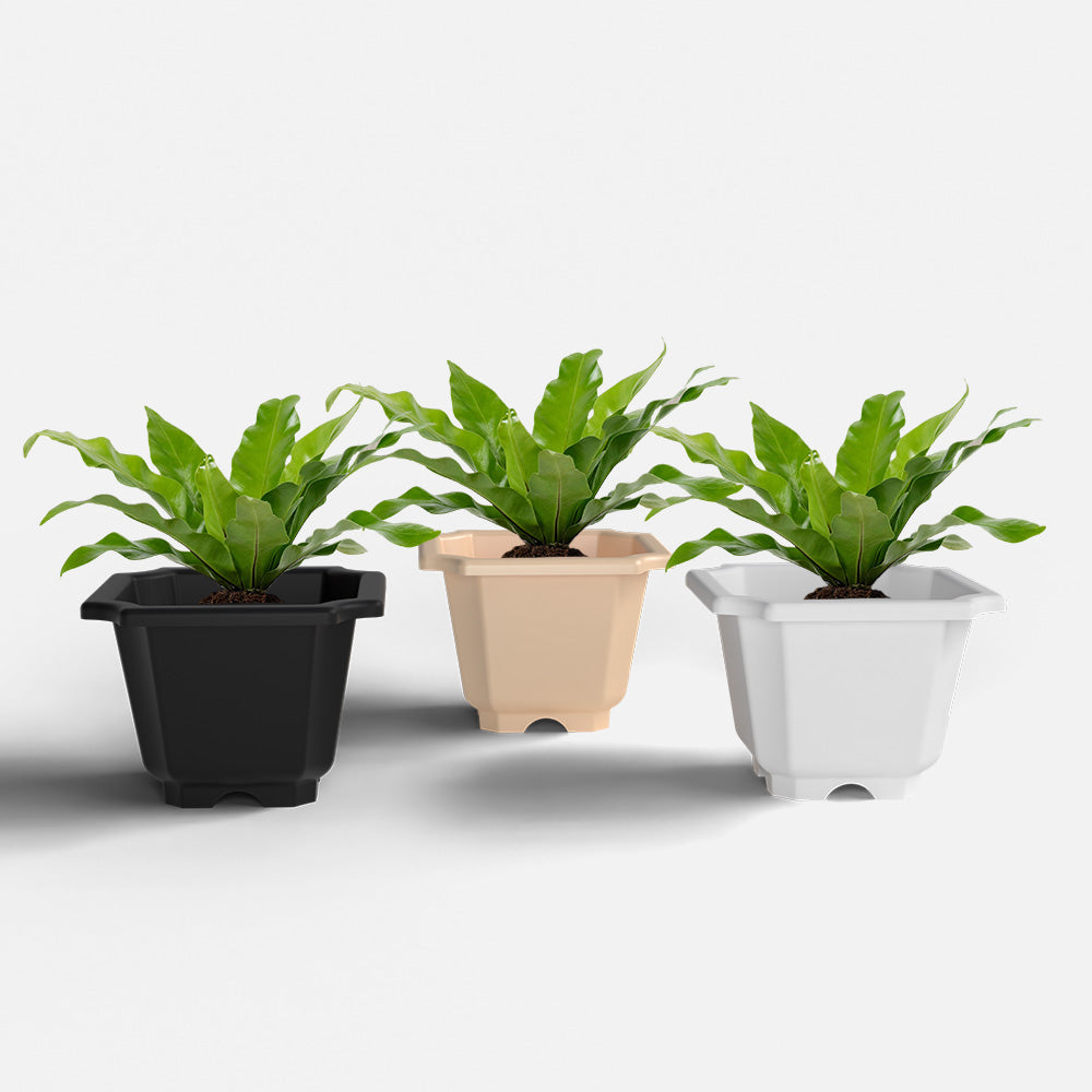 SHERA | OCTA PLANTER SET OF 3