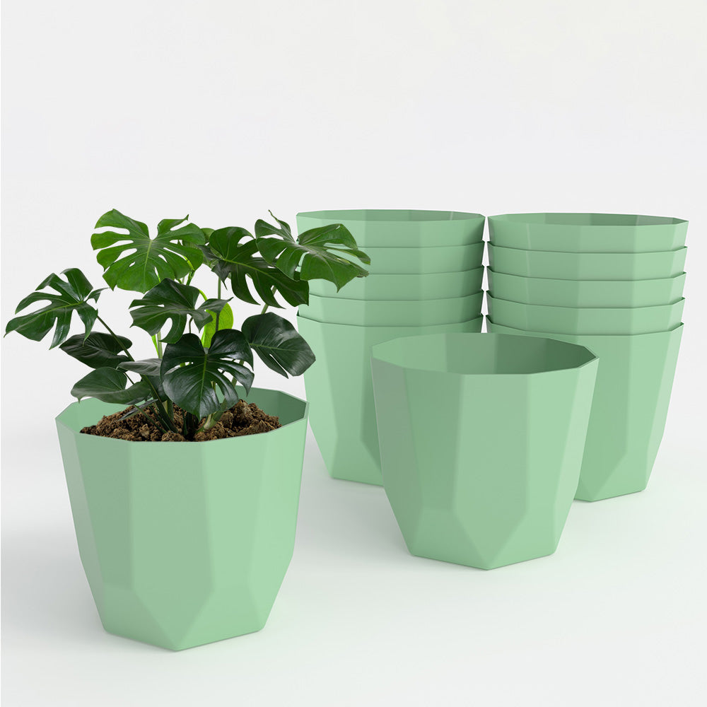 SHERA | HEXA PLANTER