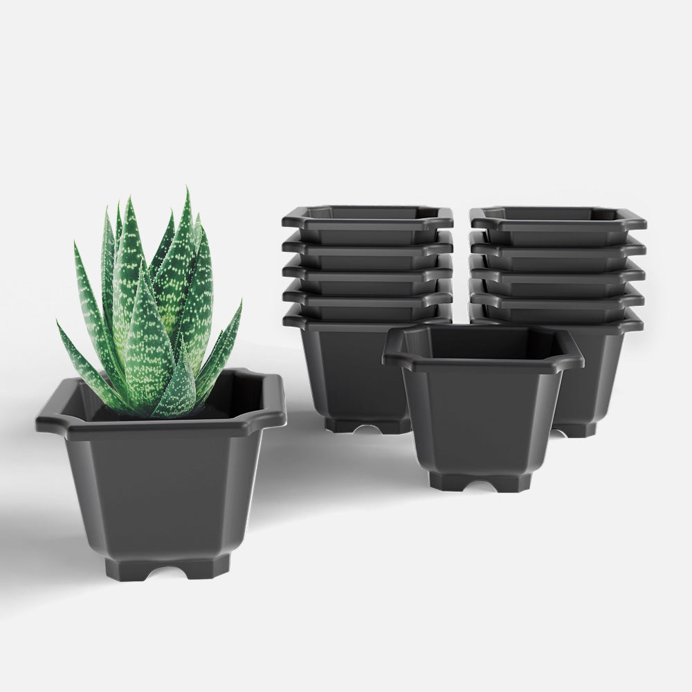 SHERA | OCTA PLANTER SET OF 12