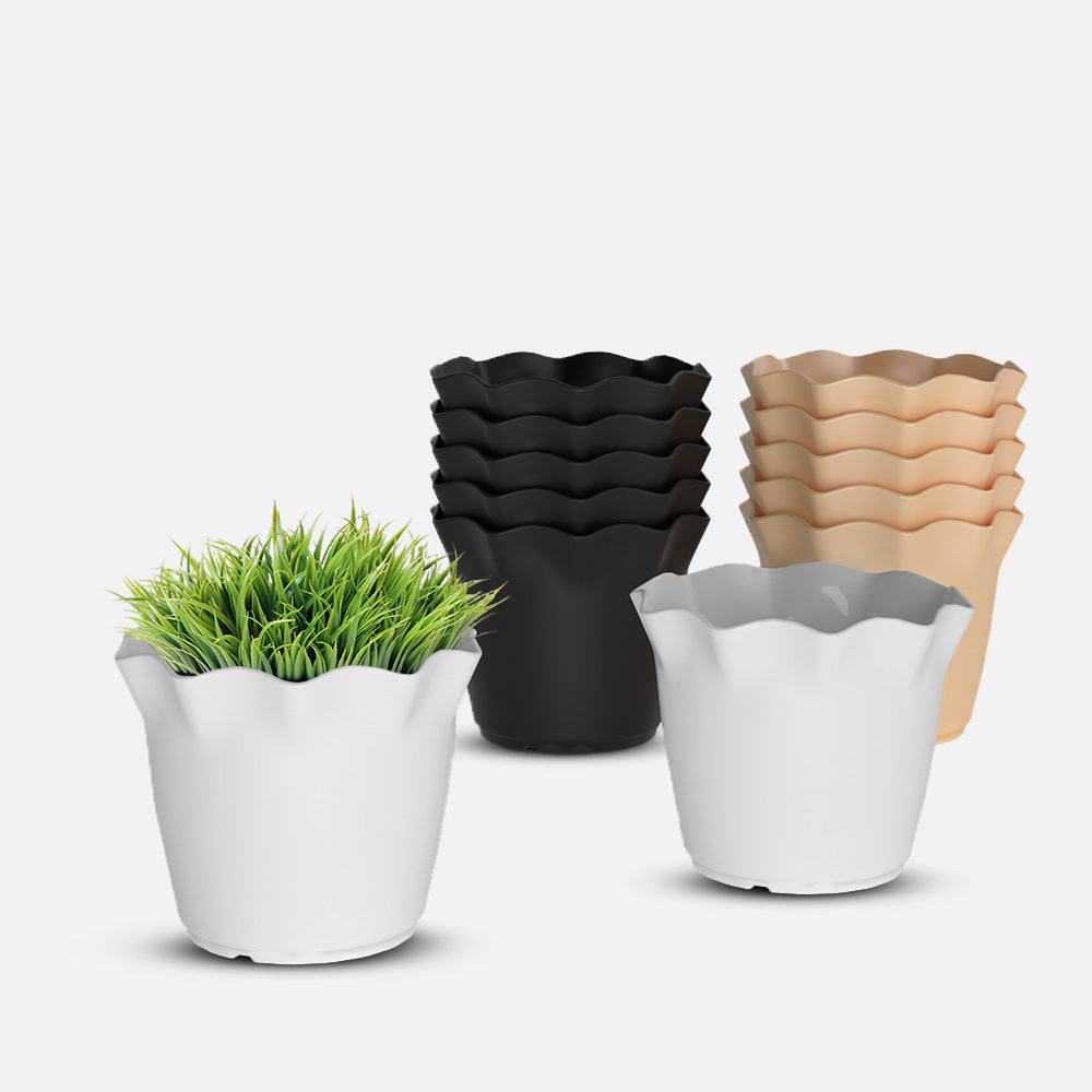 SHERA | FLOWER PLANTER