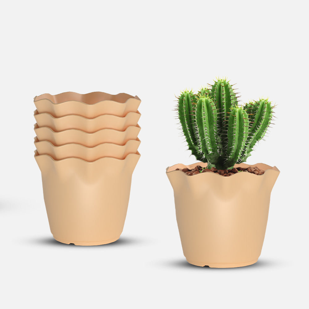 SHERA | FLOWER PLANTER