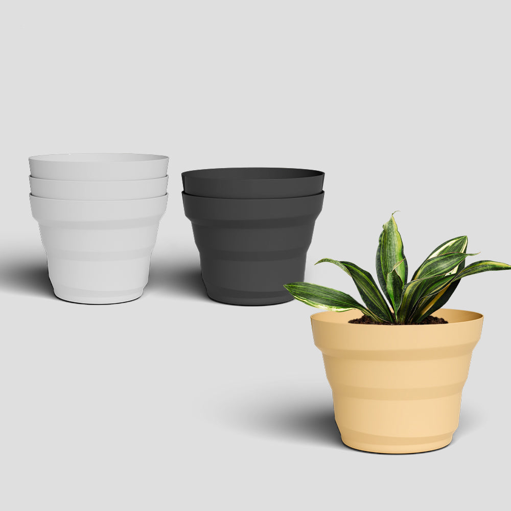 SHERA | RING PLANTER