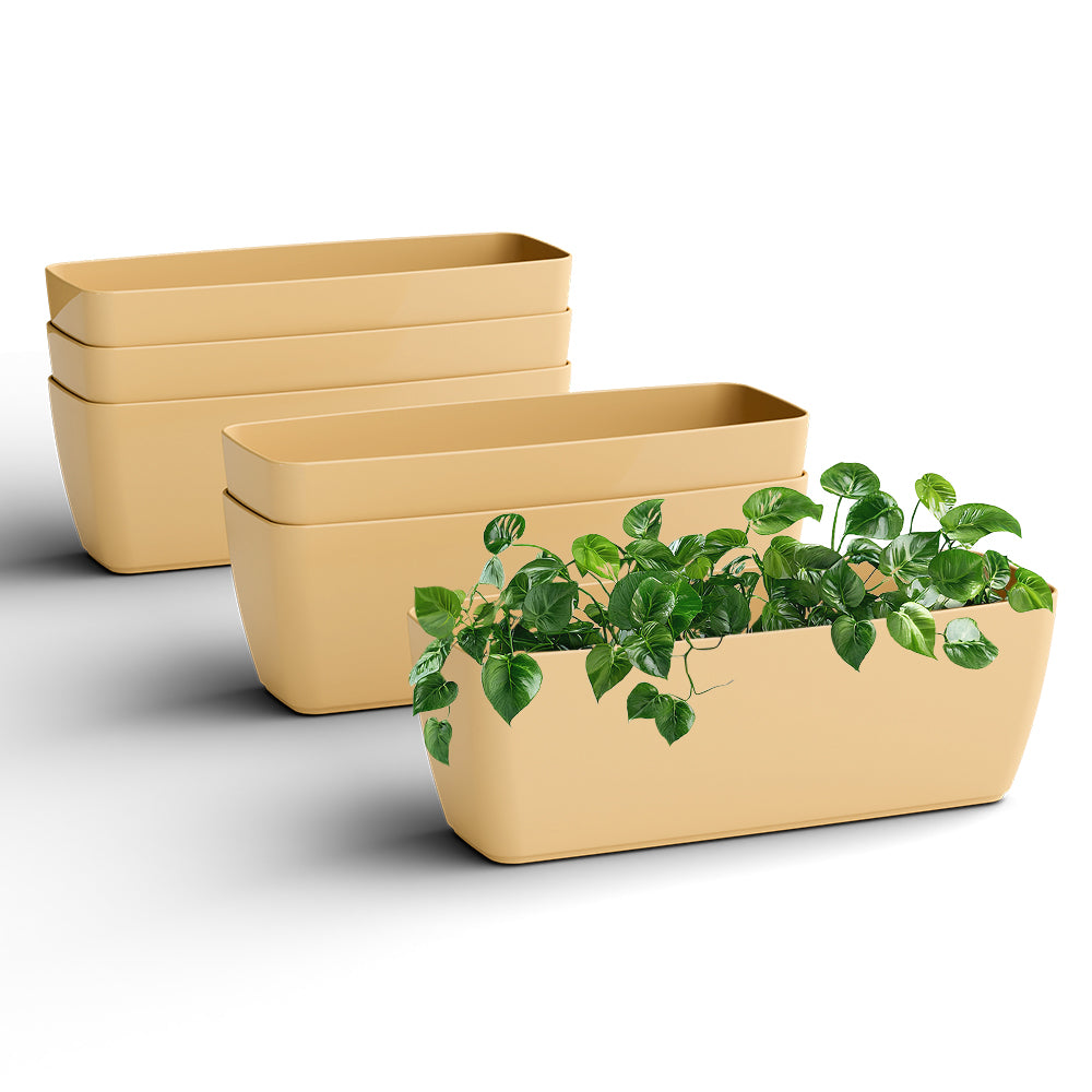 SHERA | CABI TRAY PLANTER