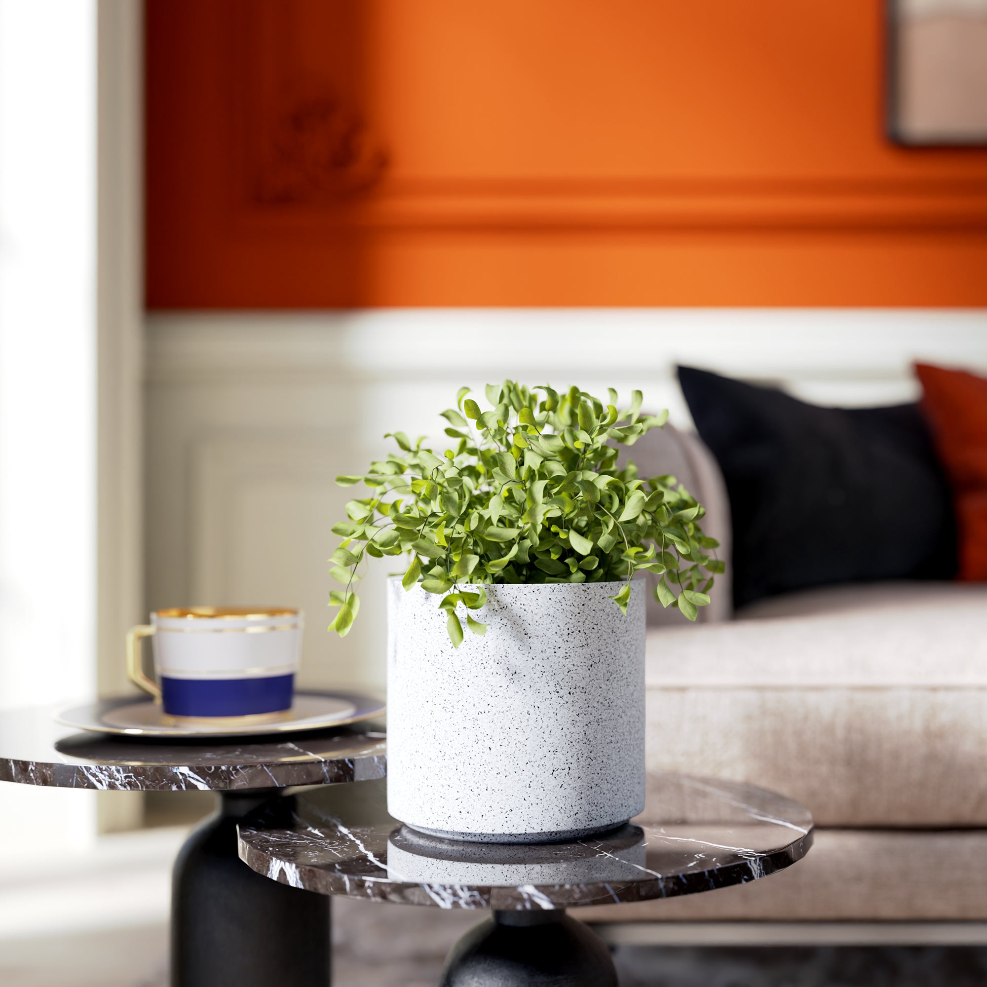 FOX B | CILIN PLANTER