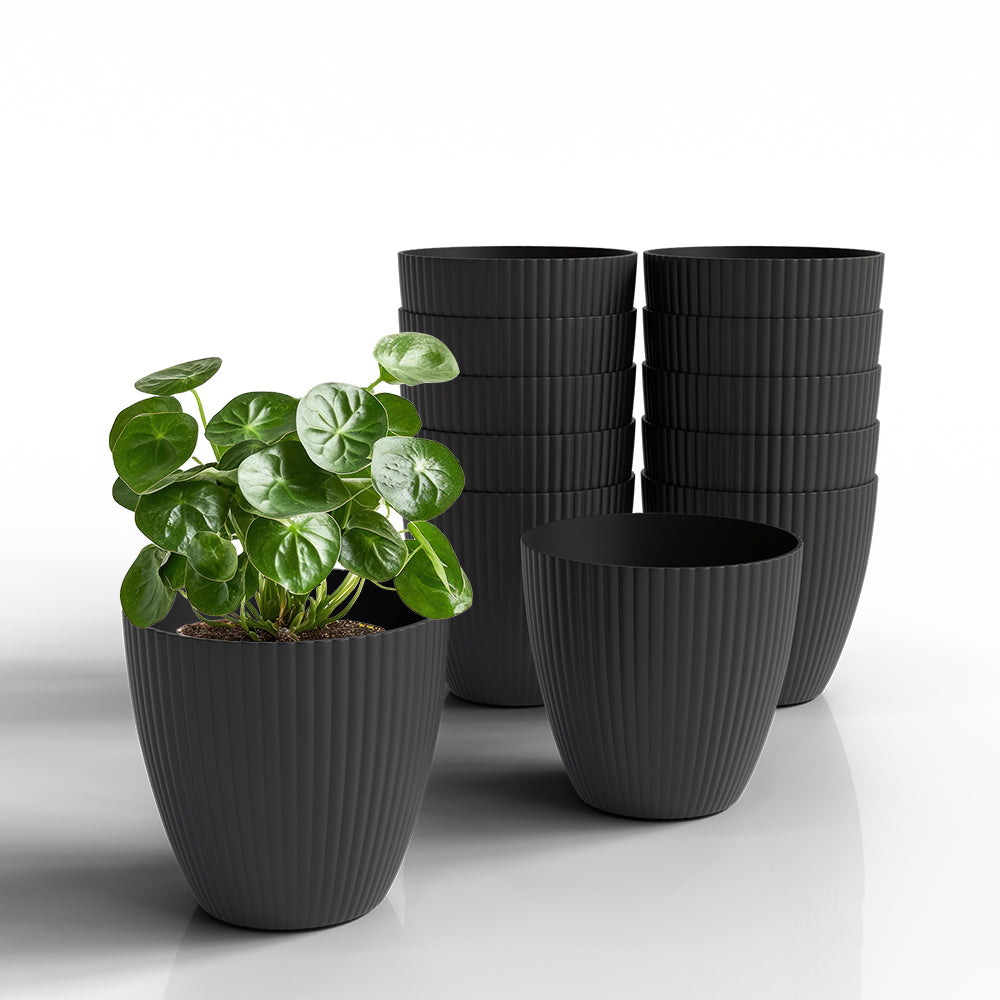 SHERA | LOTUS PLANTER