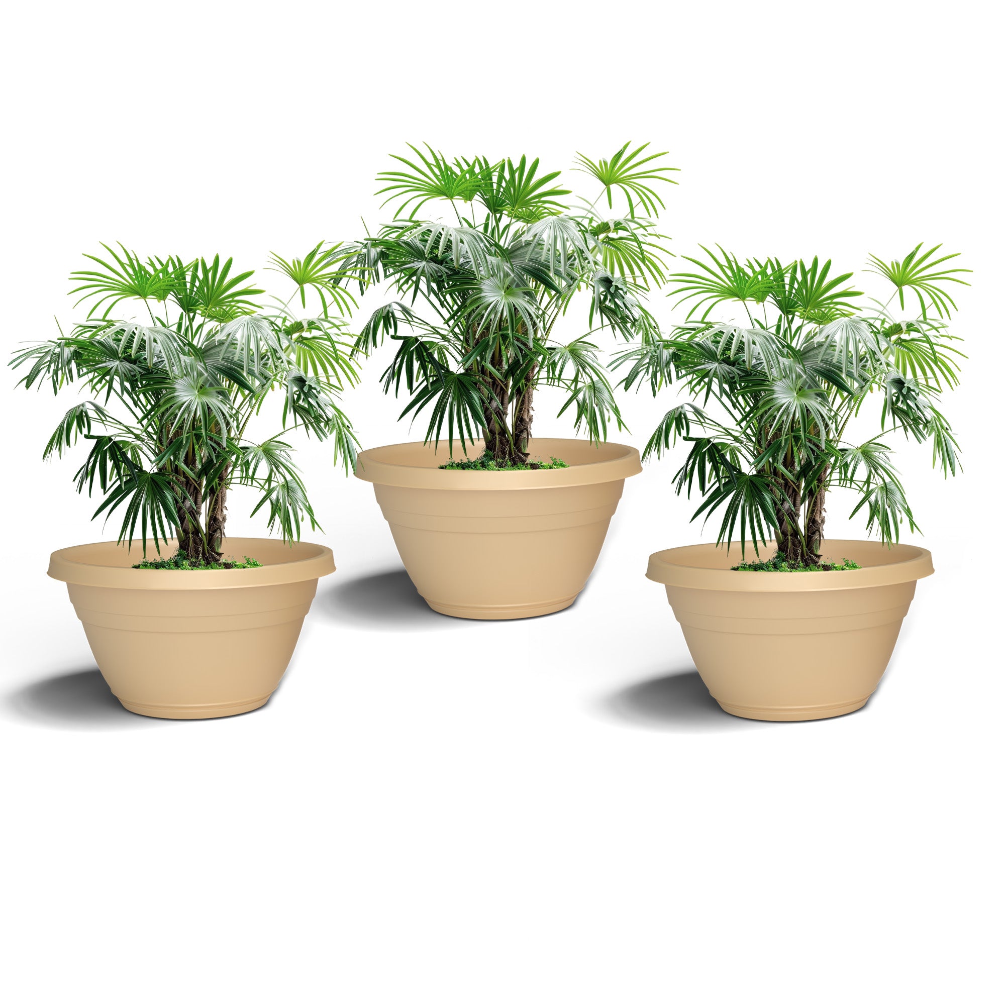 SHERA | BOTANICA BONSAI KTR PLANTER