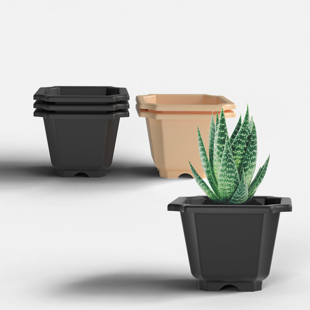 SHERA | OCTA PLANTER SET OF 6